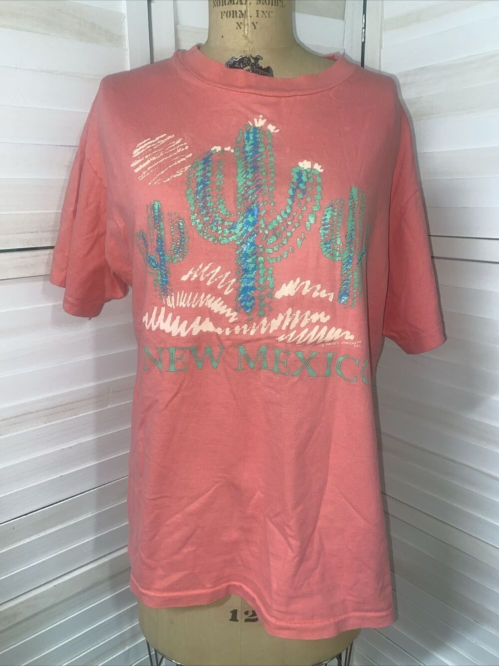 Vtg Hanes Beefy-T Pink Single Stitched T-Shirt Southwest Cactus Sz Large